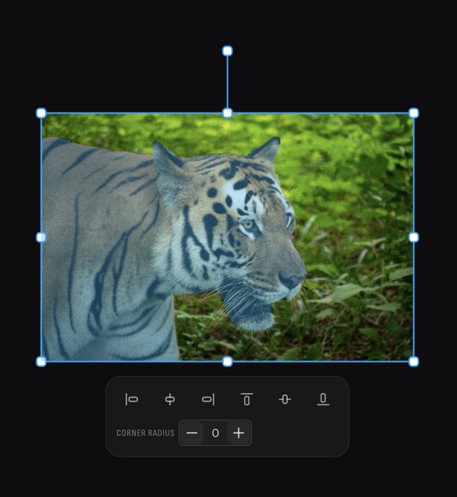 Segment feature background